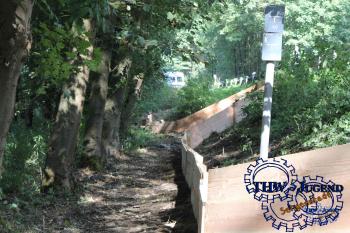 Ein Körtenlimes im Taunus - oder Körten die Zweite